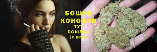 круглые Ивангород