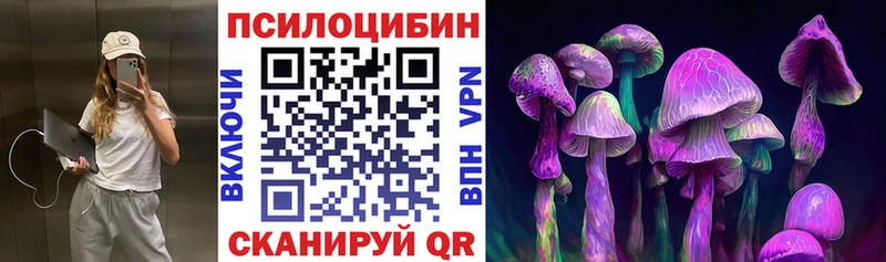 Псилоцибиновые грибы прущие грибы  сколько стоит  Каргополь 
